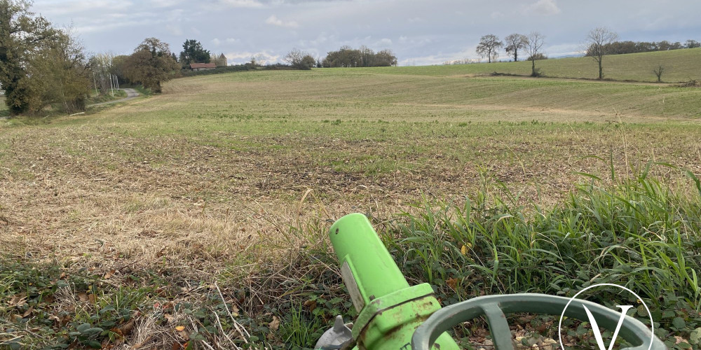 terrain à CASTELNAU TURSAN (40320)